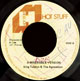 A Miserable Version by King Tubbys & The Agrovators on Hot Stuff label