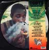 Pressure Drop&nbsp;The Golden Tracks Picture Disc